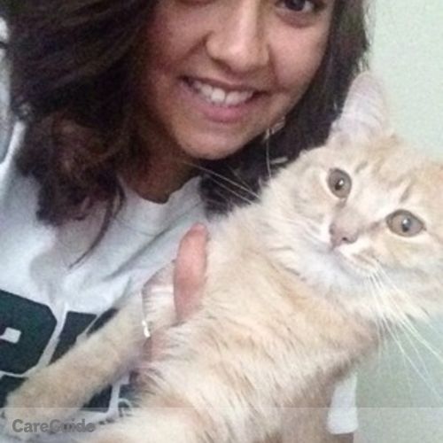 Pet Care Provider Desiree B's Profile Picture