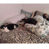 Loving and Caring Petsitter