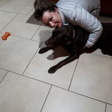 Responsible and Trustworthy Animal lover! Offering Dog Walking - Petsitting Services