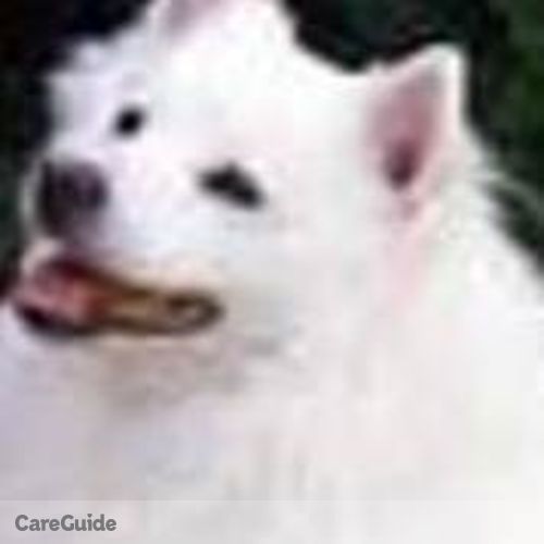 Pet Care Provider Keely B's Profile Picture