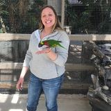Hoping to Connect with a Polite Home Helper in Painesville, Ohio