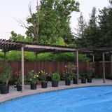 House Sitter Feeder Of Cats Water Plants No Need To Live In House