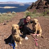 For Hire: Hard Working Petsitter in Yucca Valley