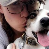 Available: Dedicated Pet Sitting Professional in Boylston, Massachusetts