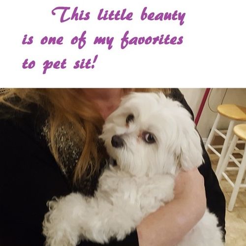 House Sitter Provider Dianne Carr's Profile Picture