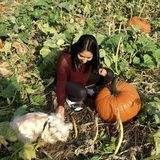 Qualified Dog Walking and Pet Sitting Available Now!