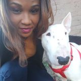 Hard Working Petsitter in Shreveport