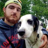 Dog sitter