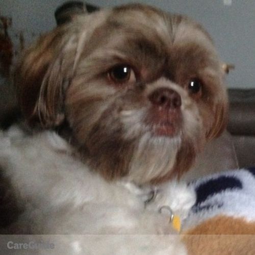 Pet Care Job Barb Pace's Profile Picture