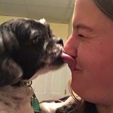 Experienced and Dedicated Pet Lover