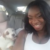 Disciplined Animal Caregiver in Sterling Heights, Michigan