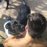Dog Walking Offered in College Station