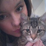 Seeking Greenville Pet Service Provider Opportunity