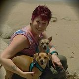 Searching for an Animal Caregiver Job in Las Vegas, Nevada