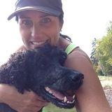 Chandler, Arizona Dog Sitter- dog walker
