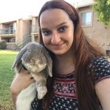 Found: Capable and Reliable Pet Sitter