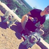 Interviewing For a Pet Trainer Opportunity in San Antonio