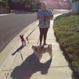 Excellant Pet Care Provider and House sitter