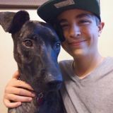 Young and Experienced Pet Sitter Looking for Work