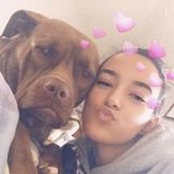 Searching To Give Great Pet Services in Orange Park!