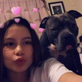 Available For a Petsitter Job in Lebanon, Pennsylvania