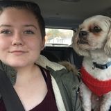 Dog walking