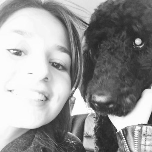 House Sitter Provider Danielle Trecroce's Profile Picture