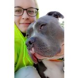 Skillful Dog/Cat Sitter for Hire