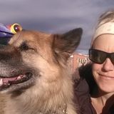 Woodland Park Dog Walker Seeking Work