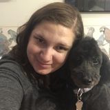 Loving dog sitter and walker