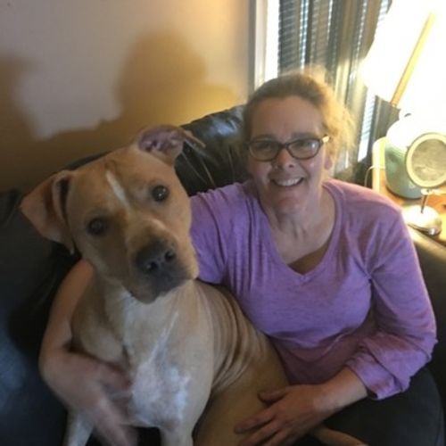 Housekeeper Provider Shannon C's Profile Picture