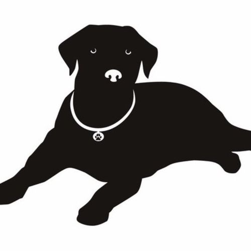 exotic pet sitters near me