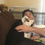 Hollywood, Florida Pet Care Provider