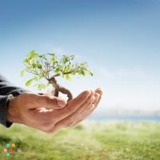 Airdrie Landscape Management