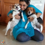 PawSome Villa - Home for your Dogs when you are away.