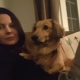 Excellent House Sitter available today!