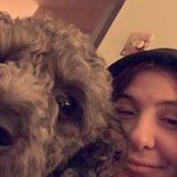 Levittown Dog Walker Searching for Job Opportunities