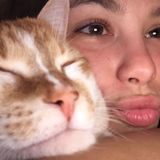 Experienced animal sitter and caregiver, flexible schedule