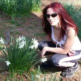 Fast Reliable Home Cleaner in Greenville, North Carolina