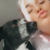 Caring Pet Sitter in Normal