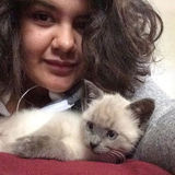 Student who will love your pet like their own!