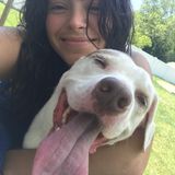 Ronkonkoma House Sitter Searching for Work in New York
