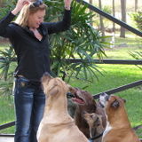 Need help with obedience training for your dog?