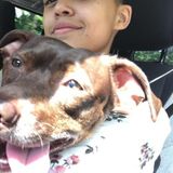 Looking For Schenectady Pet Carer Jobs