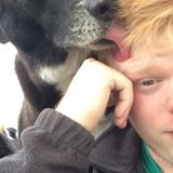 Skillful House and Plant Sitter for Hire