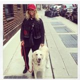 Loving, Responsible Pet Sitter in Sedona