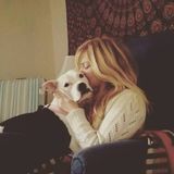 Active & Loving Petsitter in Jensen Beach