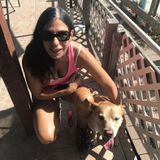 Responsible/trusted house and pet sitter