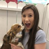 Available: Capable House and Petsitter in Rexburg, Idaho