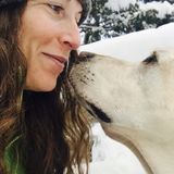 Caring and experienced house sitter, pet sitter, plant sitter